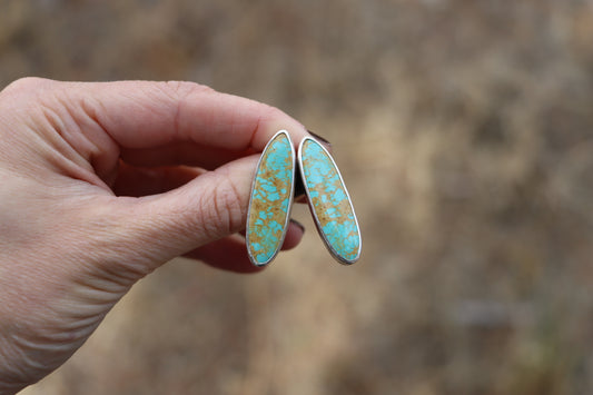 Stud Earrings (Patagonia)