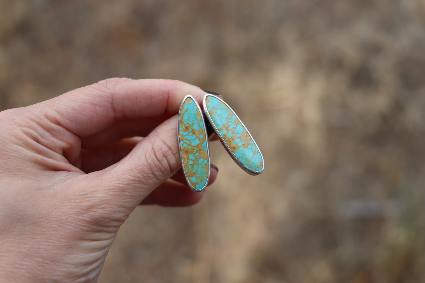 Stud Earrings (Patagonia)