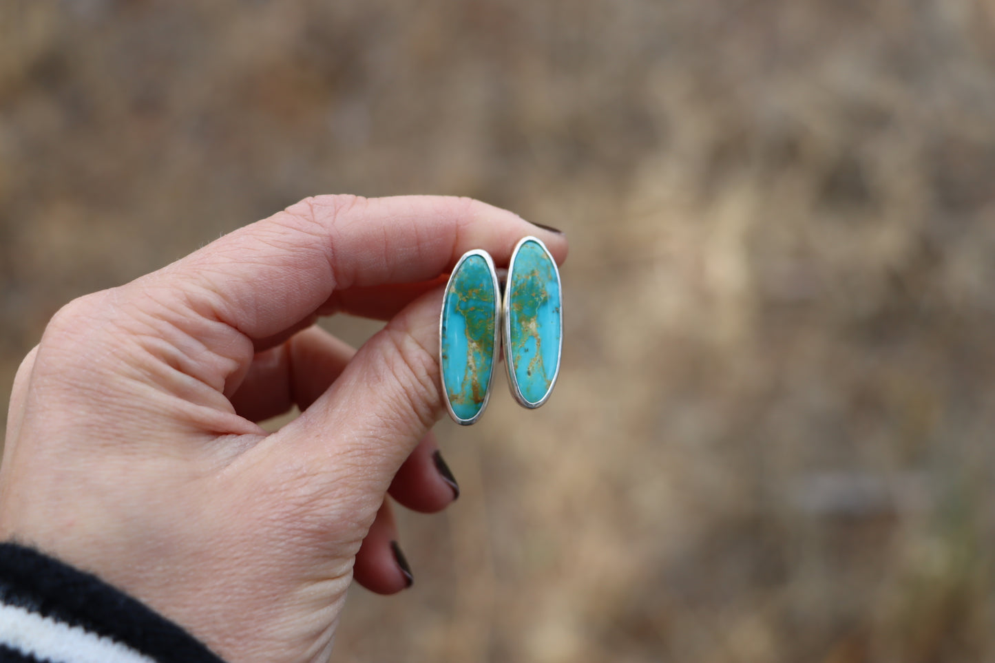 Stud Earrings (Royston)