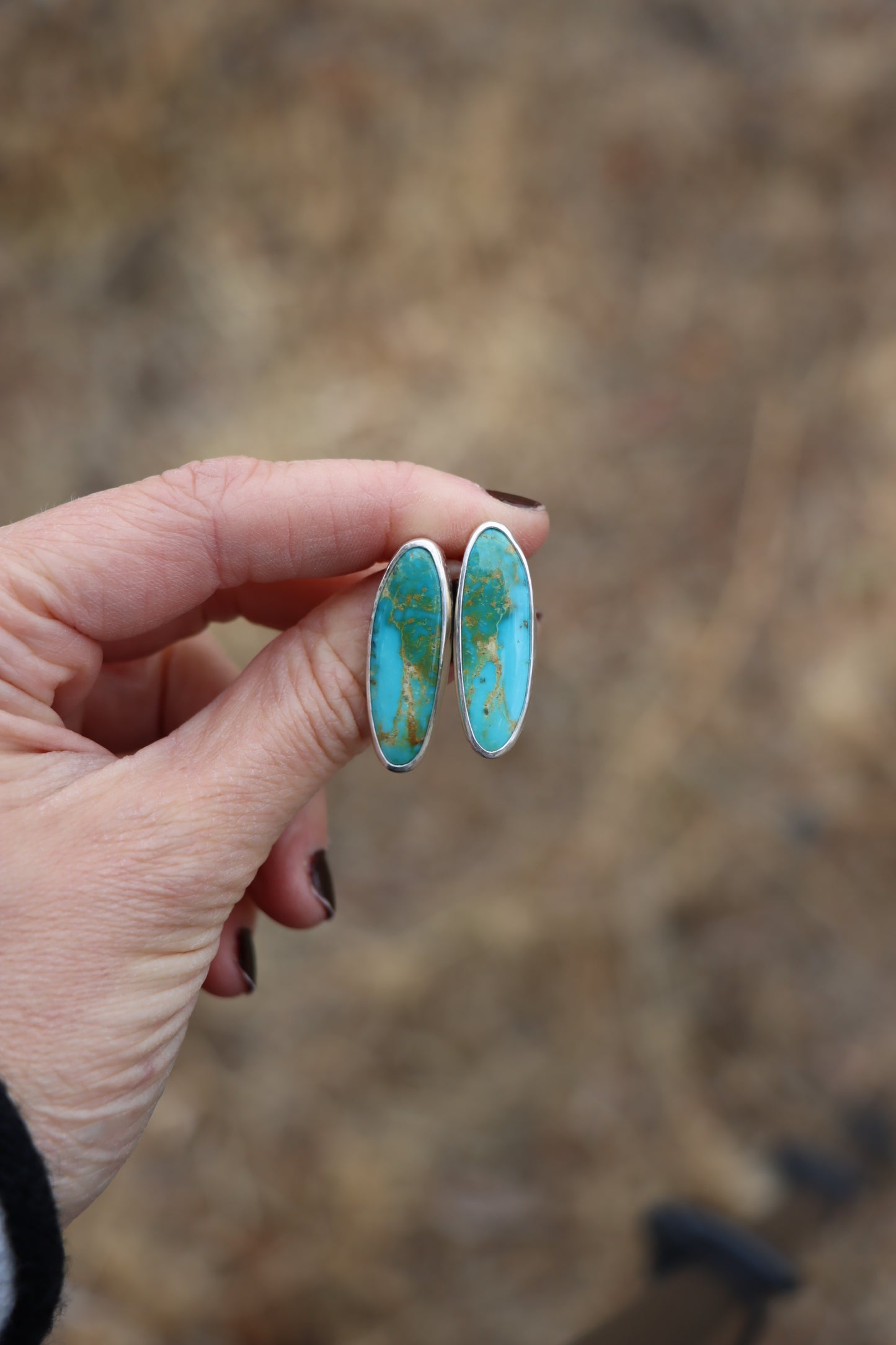 Stud Earrings (Royston)