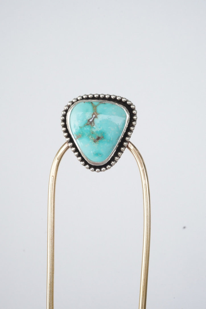 Hair Fork (Carico Lake)