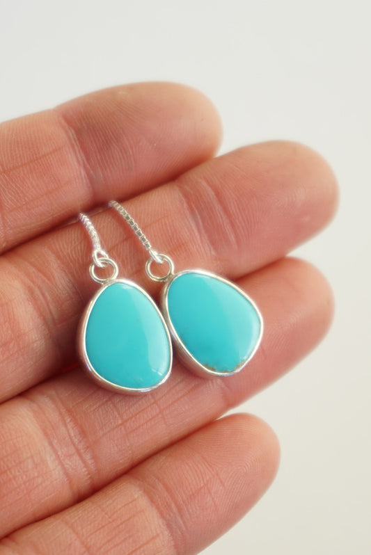 Turquoise Threader Earring (Royston)