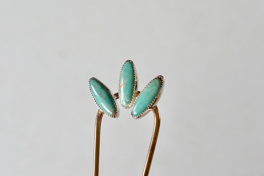 Hair Fork (Kingman)