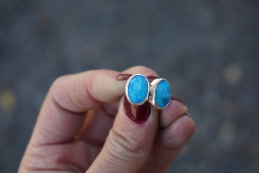 Stud Earrings (Sleeping Beauty)