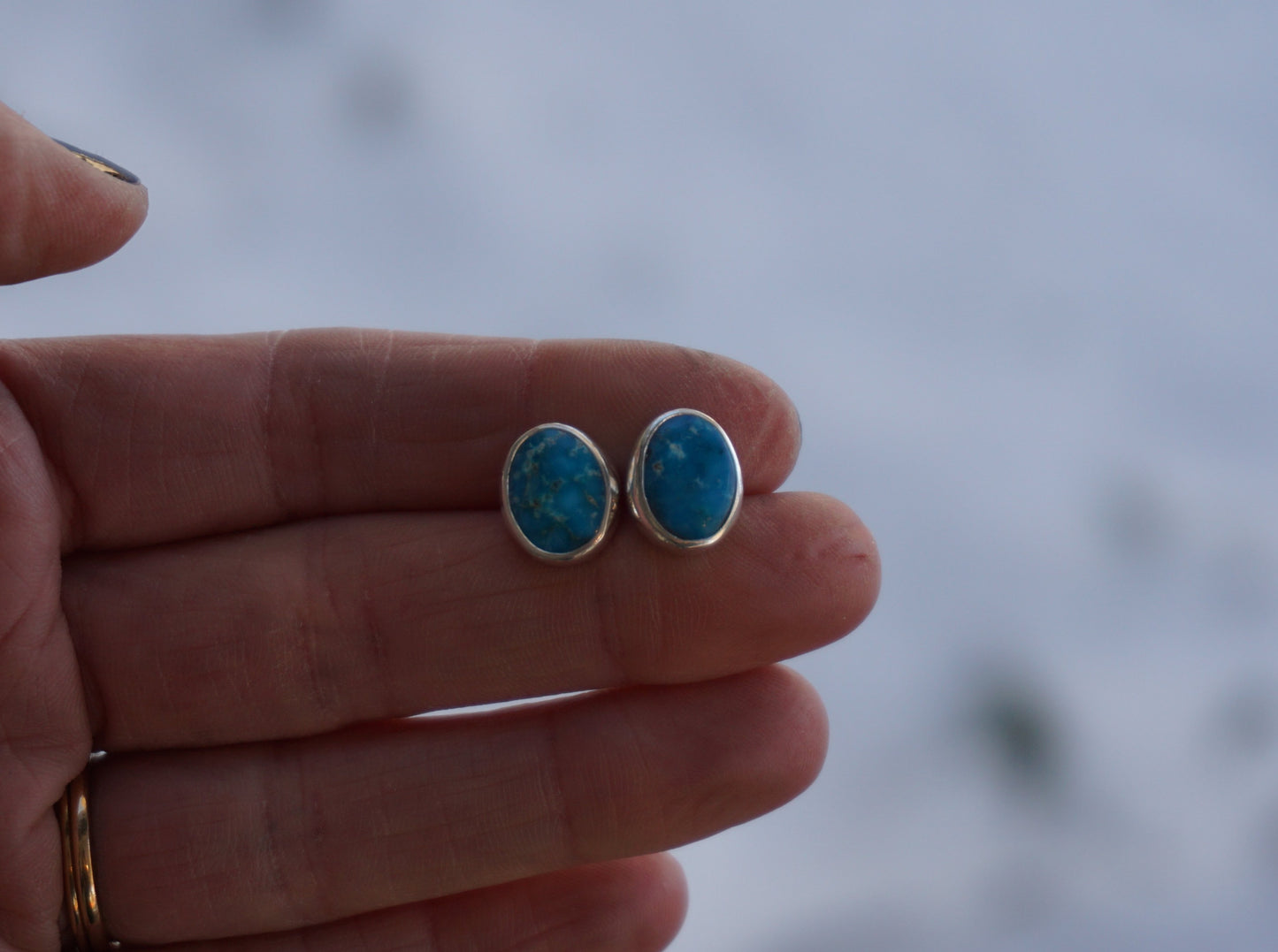 Stud Earrings (Sleeping Beauty)