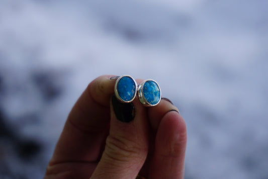 Stud Earrings (Sleeping Beauty)