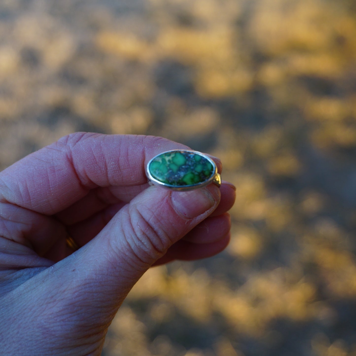 Turquoise Ring (Sonoran Gold - 7.5)