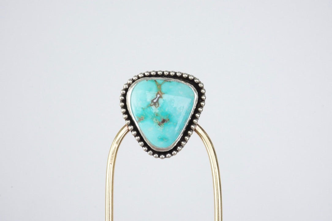 Hair Fork (Carico Lake)