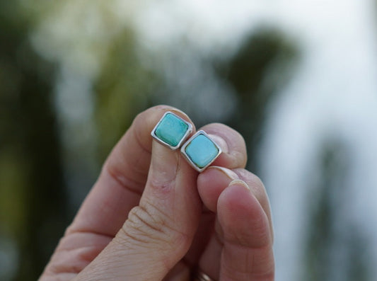 Stud Earrings (Royston)