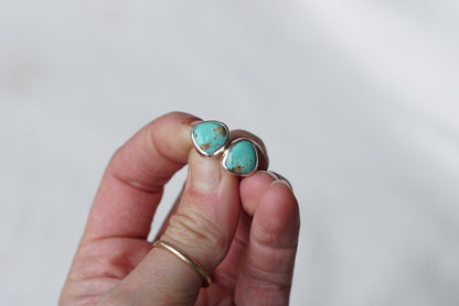 Stud Earrings (Palamino)