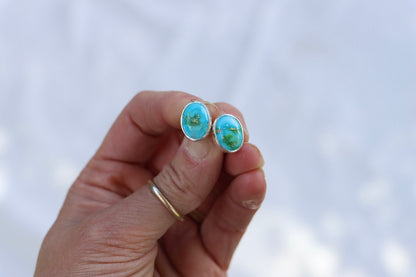 Stud Earrings (Sonoran Mountain)