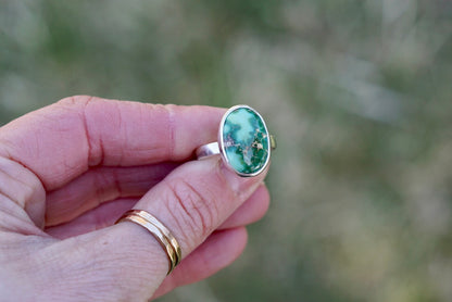 Turquoise Ring (size 7)