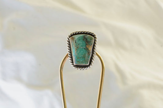 Hair Fork #2