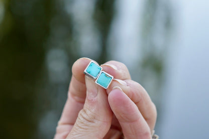 Stud Earrings (Royston)