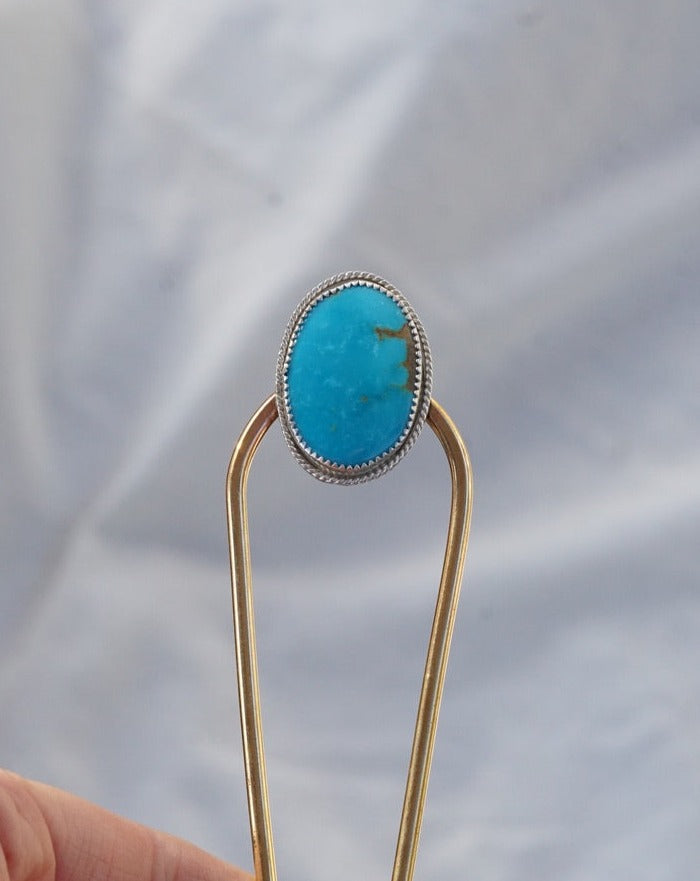 Hair Fork