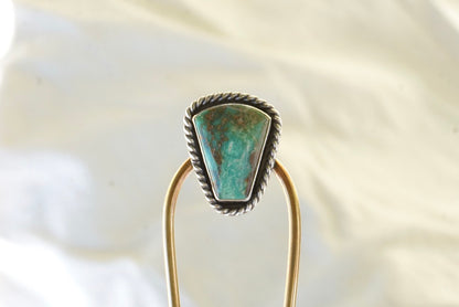 Hair Fork #1
