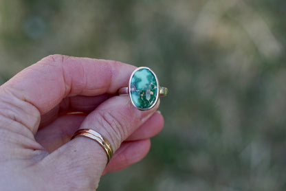 Turquoise Ring (size 7)
