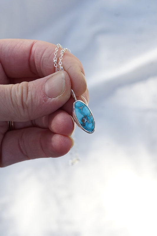 Turquoise Necklace (Blue Bird)
