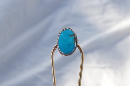 Hair Fork