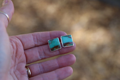 Stud Earrings (Royston)