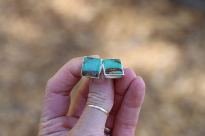 Stud Earrings (Royston)