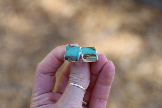 Stud Earrings (Royston)