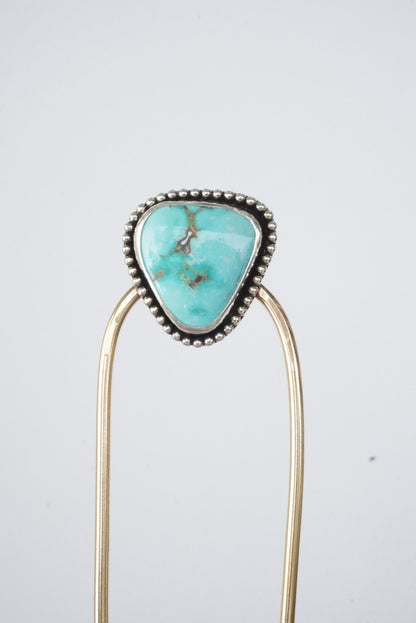 Hair Fork (Carico Lake)