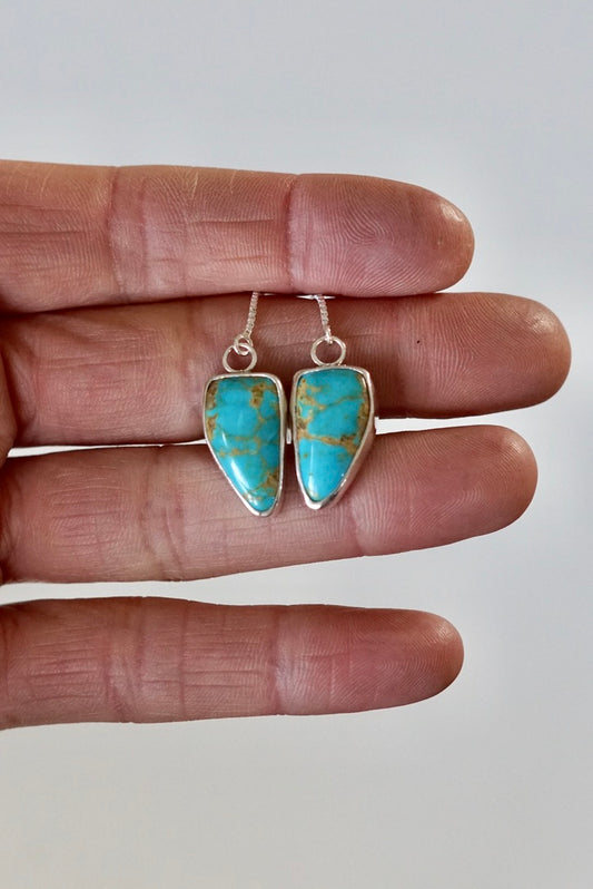 Turquoise Threader Earring (Royston)