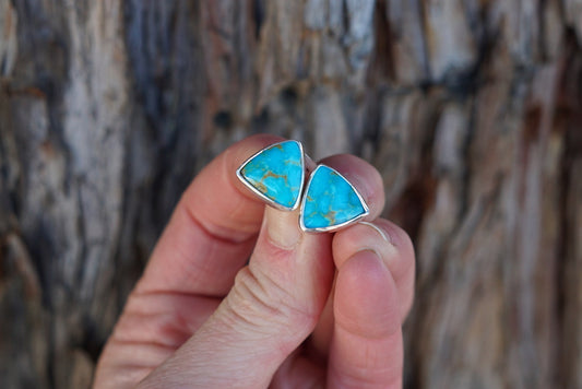 Stud Earrings (Royston)