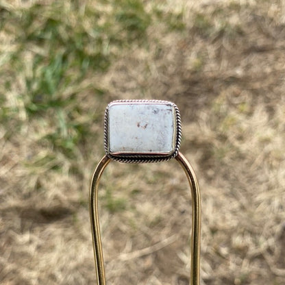 Hair Fork (White Buffalo)