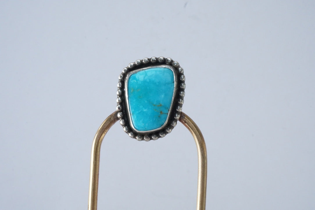 Hair Fork (Blue Moon)