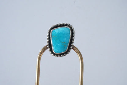 Hair Fork (Blue Moon)