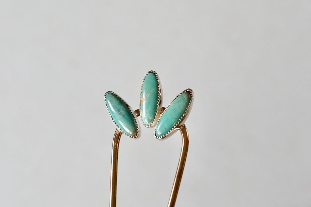 Hair Fork (Kingman)