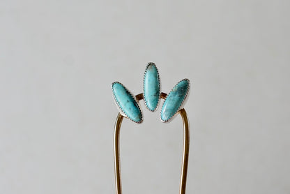 Hair Fork (Kingman)