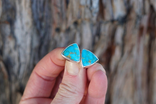 Stud Earrings (Royston)