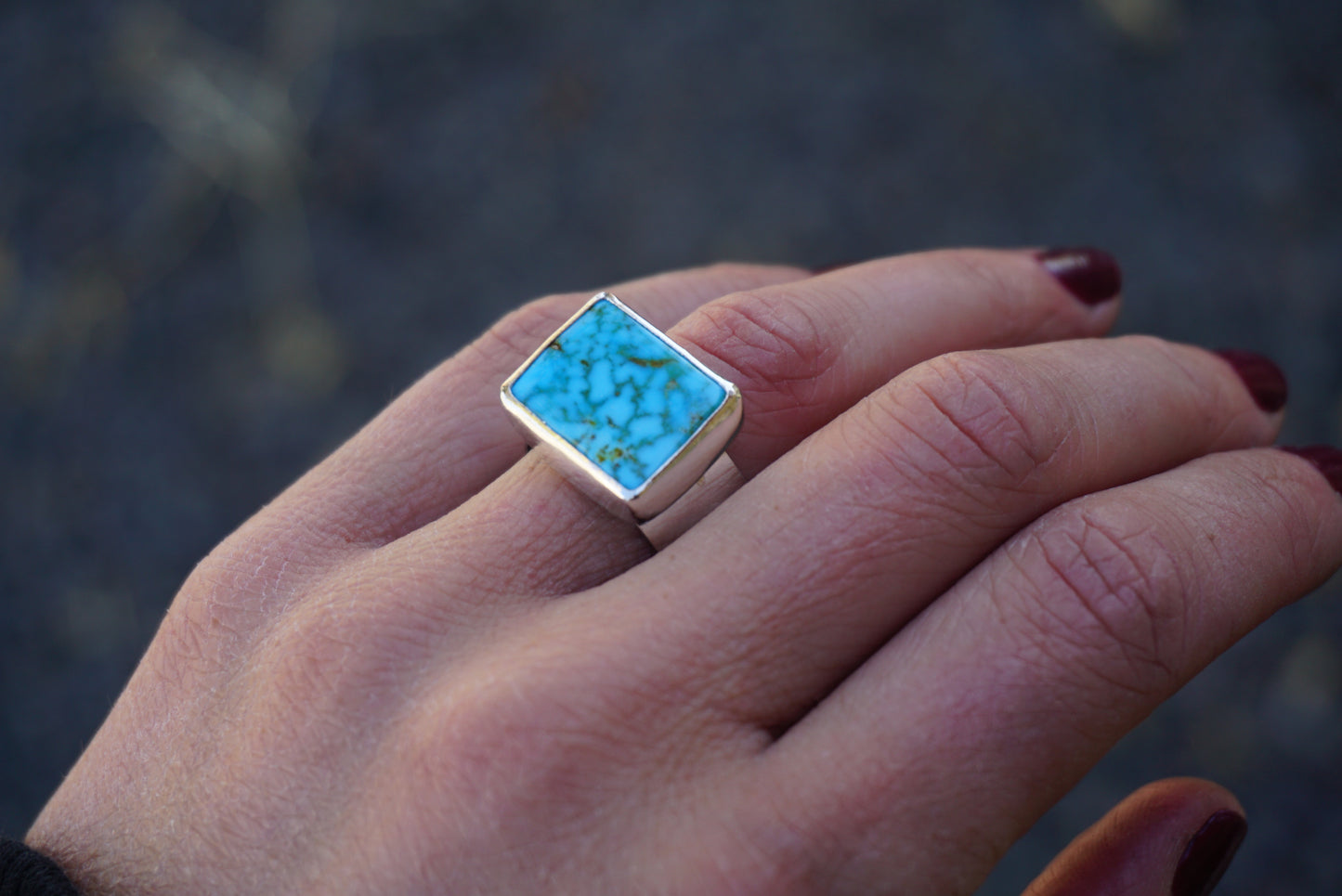 Traveler Ring (size 8)