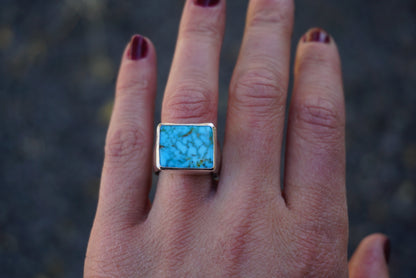 Traveler Ring (size 8)