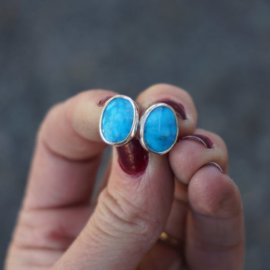 Stud Earrings (Sleeping Beauty)