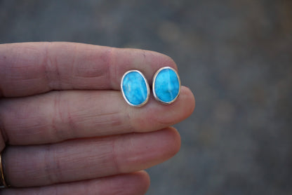 Stud Earrings (Sleeping Beauty)