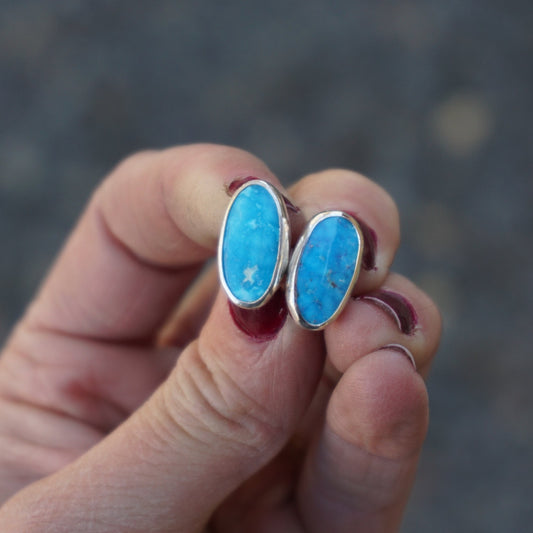 Stud Earrings (Sleeping Beauty)