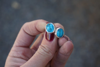 Stud Earrings (Sleeping Beauty)