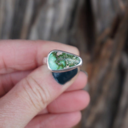 Turquoise Ring (size 6.5)