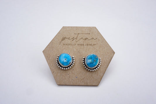 Stud Earrings (Sleeping Beatuy)