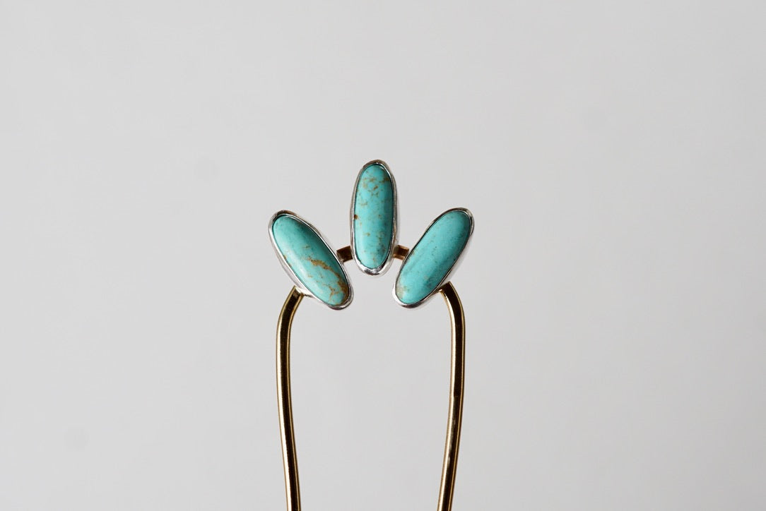 Hair Fork (Kingman)