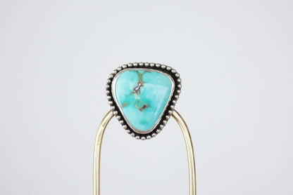 Hair Fork (Carico Lake)