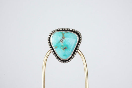 Hair Fork (Carico Lake)